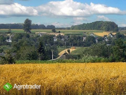 Ukraina.Organizacja nowych gospodarstw rolnych. - zdjęcie 2
