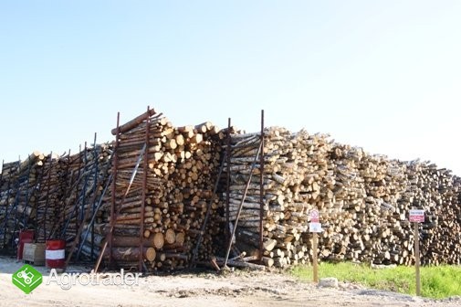Drewno opałowe, kominkowe z Ukrainy, Duże ilości. - zdjęcie 2