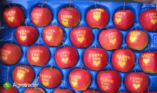 Sprzedam jabłka z napisem I LOVE YOU z serduszkiem