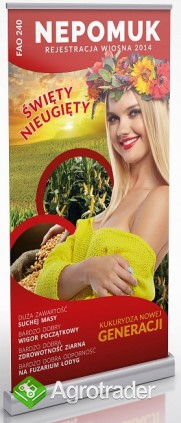 Kukurydza nasiona nepomuk nowość