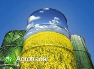 Ukraina.Olej rzepakowy 2,3 zl/litr + nasiona, sloma, biomasa, tluszcze