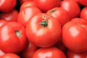 Pomidory gruntowe-0,80gr.