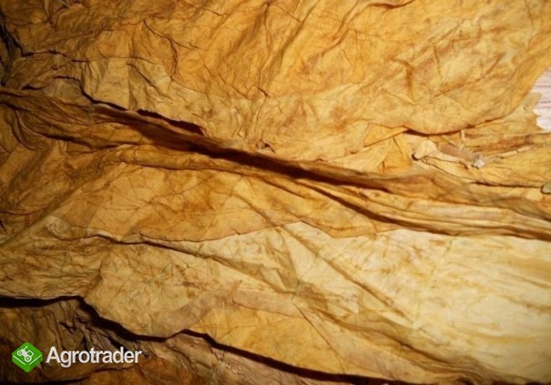 FERMENTACJA , PROFESJONALNE PRZYGOTOWANIE - zdjęcie 3