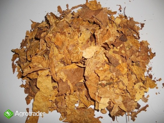 BLEND MIX 1KLASA HURT