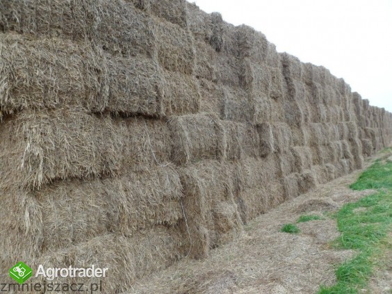 SPRZEDAM SŁOMĘ