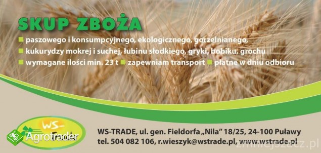 kupię bobik- skup bobiku