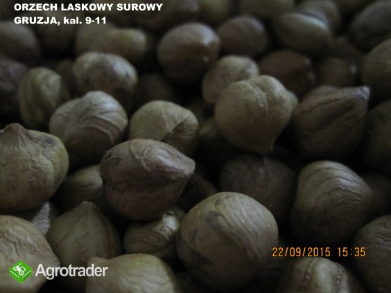 Sprzedamy orzechy laskowe i arachidowe - zdjęcie 3