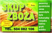 kupię jęczmień- skup jeczmienia
