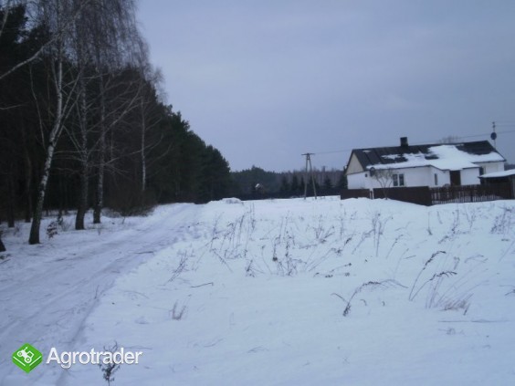 Gospodarstwo rolne z budynkami - zdjęcie 1