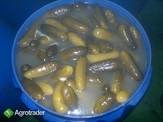 sprzedam ogórki kiszone