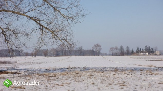 Gospodarstwo rolne 4,5ha - zdjęcie 4