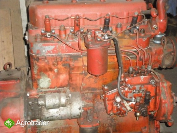 Białoruś - zdjęcie 3