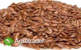 Siemie lniane z Ukrainy. 99,9% czystosc.