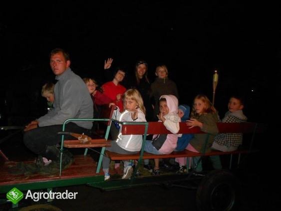 gospodarstwo agroturystyczne stadnina koni Pasja w - zdjęcie 1